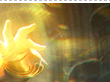 Arclight Brand (arclightbrand)