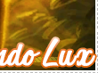 Commando Lux (commandolux)