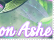 Fae Dragon Ashe (faedragonashe)